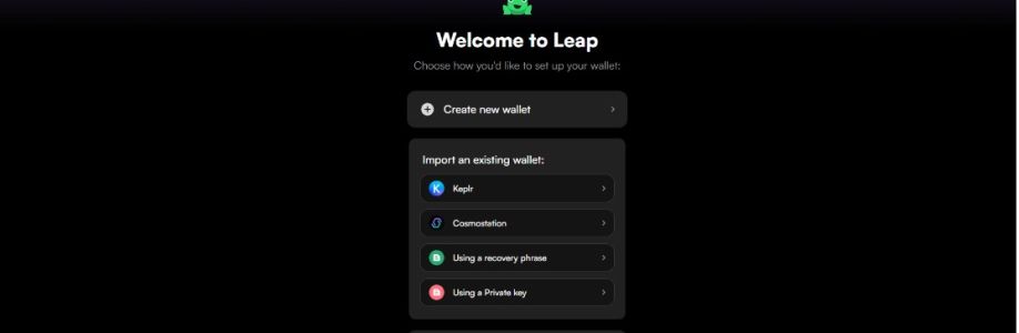 leap wallet Cover Image