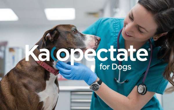 Kaopectate for Dogs: A Natural Solution for Upset Tummies