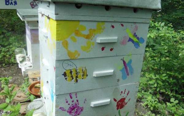 Top Mistakes to Avoid When Painting and Finishing Bee Hives