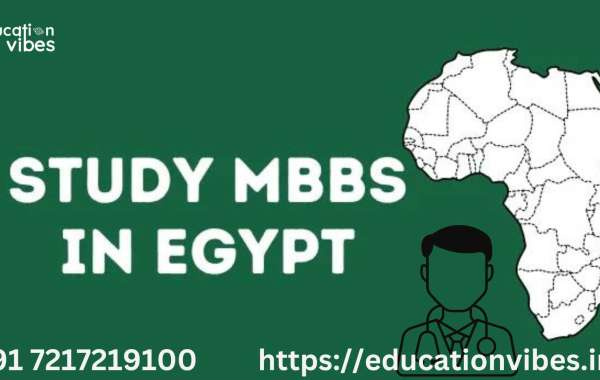 What is the Process to take Admission in MBBS in Egypt?