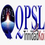 QPSL Ltd Profile Picture