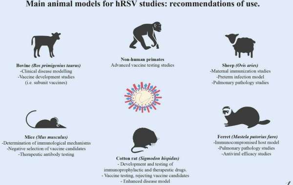 Respiratory Syncytial Virus Animal Models to Advance RSV Research