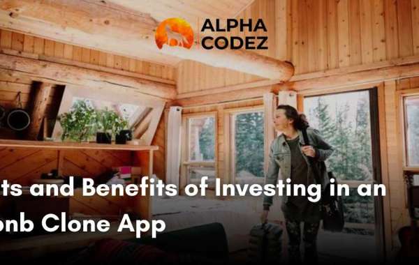 From Costs to Profits: Assessing the Value of an Airbnb Clone App for Your Business