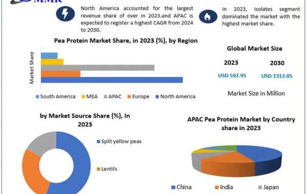 Pea Protein Market Beyond the Basics: Size, Share, Revenue, and Statistics Overview | 2024-2030