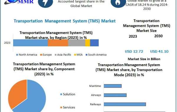 Global Transportation Management System (TMS) Market Key Players, Trends, Industry Size & Forecast 2030