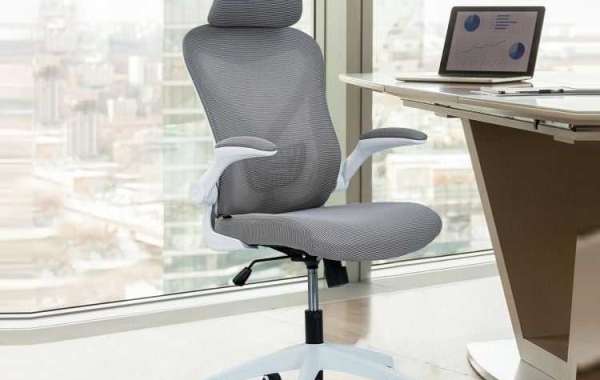 Top Ergonomic Office Chairs: A Comprehensive Buyer’s Guide