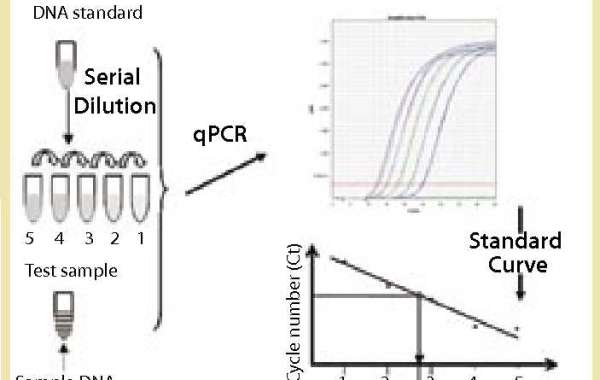 Mammalian DNA Residue Assay Kits (qPCR) for Enhanced Biopharmaceutical Research