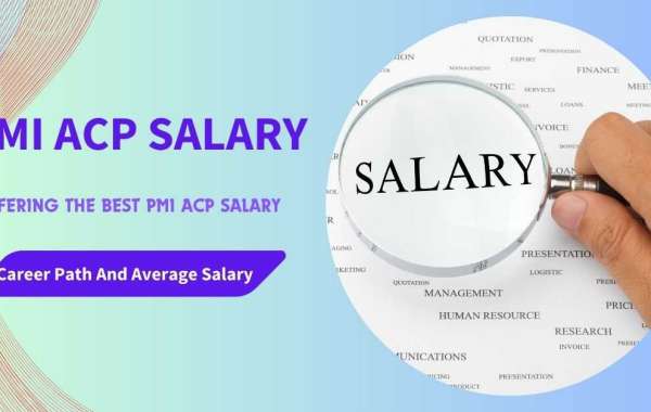 PMI ACP Salary: Key Stats for Professionals