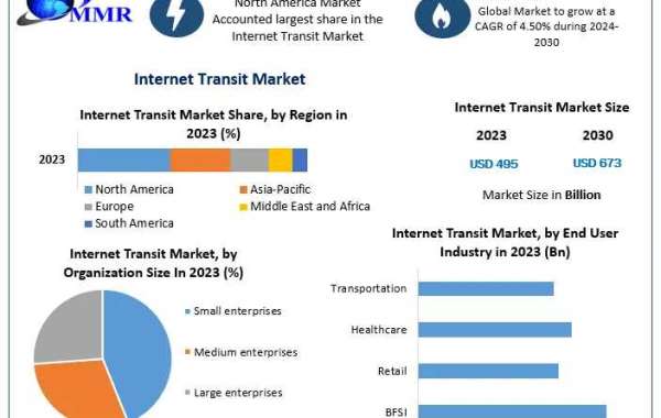 Global Internet Transit Market Business Strategies, Revenue and Growth Rate Upto 2030