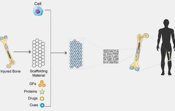 Organoid Construct Kit to Advance Drug Discovery