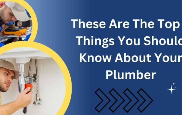 These Are The Top 8 Things You Should Know About Your Plumber