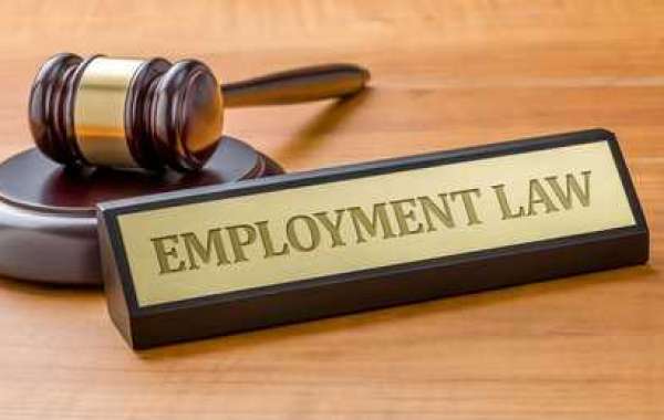 How Employment Lawyers Can Help in Wage and Hour Disputes