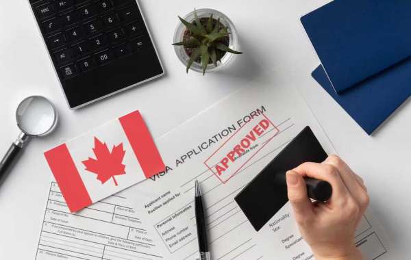 Your Pathway to Success: How a Study Visa in Canada Can Shape Your Future