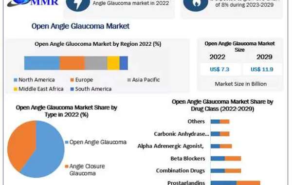 Open Angle Glaucoma Market Business Developing Strategies, Growth Key Factors 2030