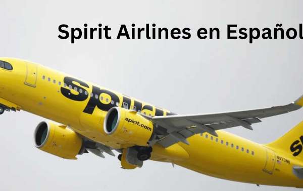 ¿Cómo contactar en Spirit Airlines Español Teléfono?