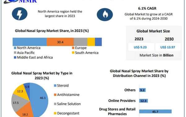 Nasal Spray Market Overview: How North America's Affluent Consumer Base Fuels Growth