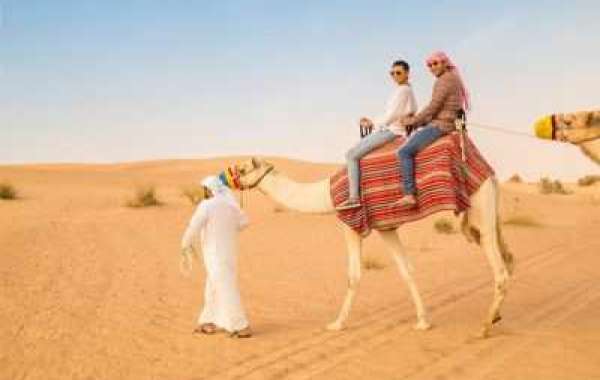 Desert Safari Abu Dhabi: An Unforgettable Adventure