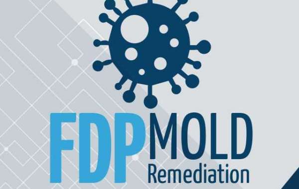 Mold Remediation and Testing: Protect Your Health and Home