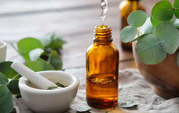 Eucalyptus Essential Oil: Harnessing Nature’s Respiratory Remedy