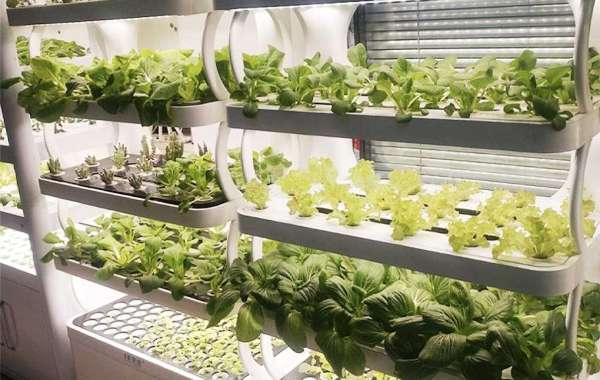 The Benefits of Hydroponics Growing Systems: Why You Should Consider a Tower Garden