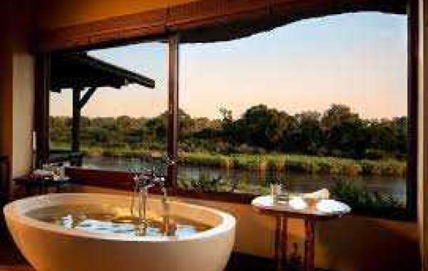 Why Safari Lodges in Kruger National Park Offer the Ultimate Wildlife Experience