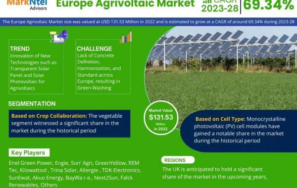 Europe Agrivoltaic Market Growth and Its Opportunity for Industry Stakeholders