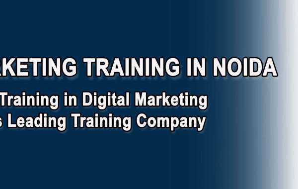 Best Digital Marketing Training in Noida for Your Success